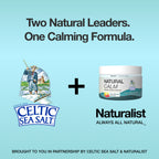 Organic Natural Calm Drink Mix with Celtic Sea Salt®